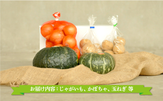 《令和7年分》数量限定！季節のお野菜詰め合わせ 秋(配送時期：9月～10月)【01018】