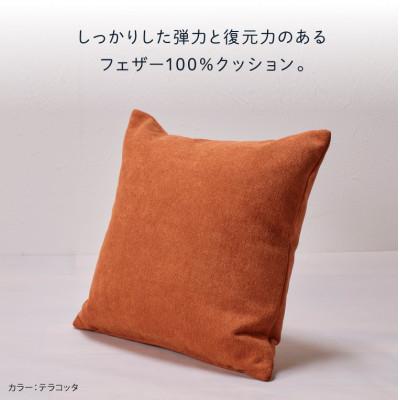 ふるさと納税 石狩市 blocco フェザー100% クッション(48×48cm)26-0 460094 ブルーグリーン |  | 02