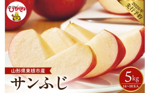 【2026年産先行予約】 太陽の恵みをいっぱいに浴びたりんご「サンふじ」 約5kg (14～18玉入) 山形県 東根市　hi026-062