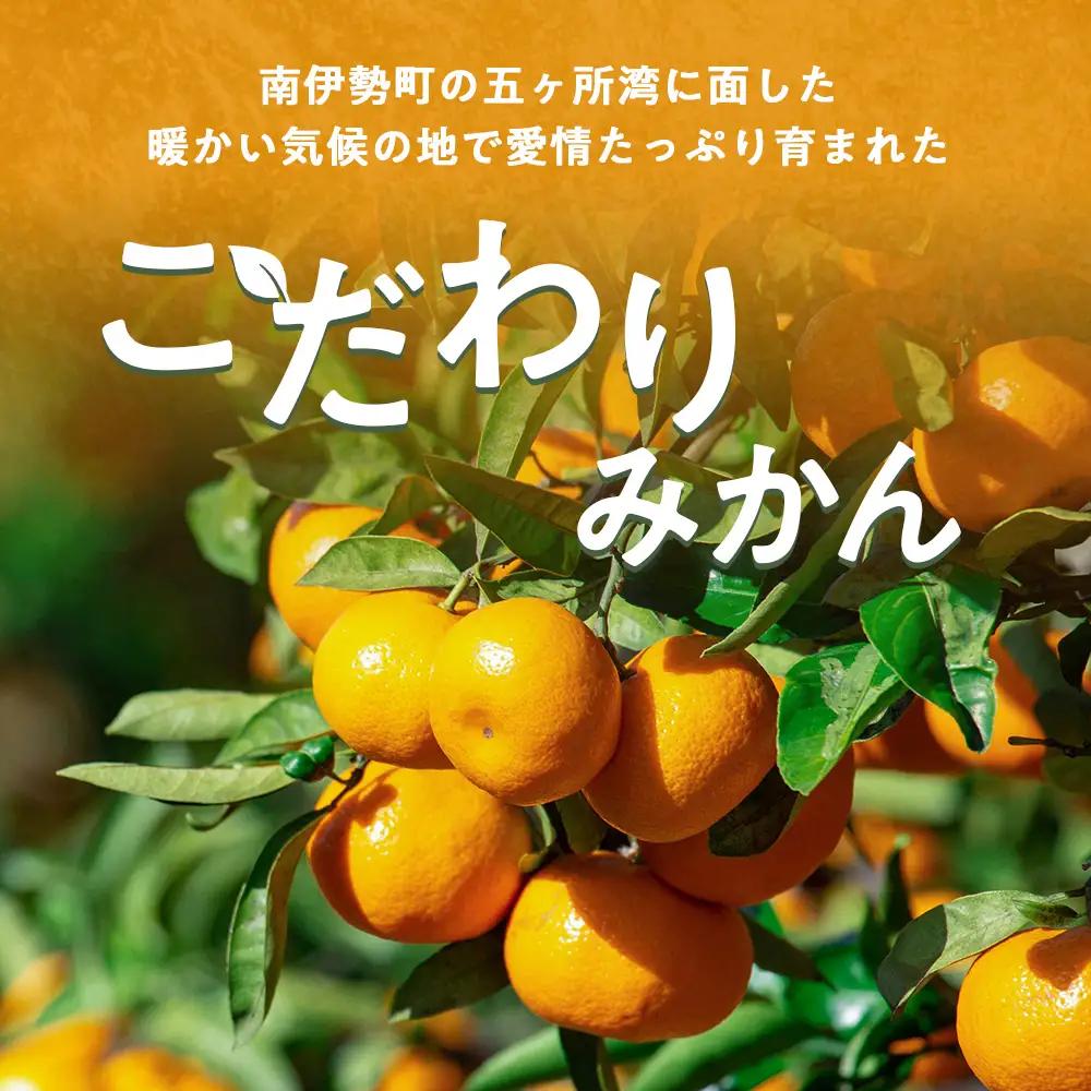 蜜柑 みかん 約 5kg 令和8年 11月発送 ないぜしぜん村 みかん 先行予約 産地直送 国産 国内産 三重 南伊勢