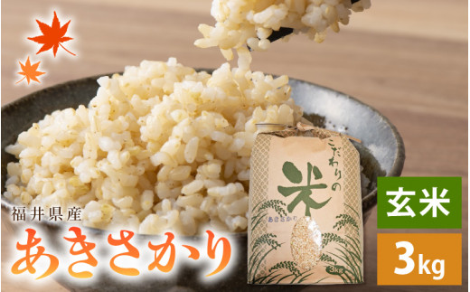 令和7年産 あきさかり 3kg 福井県産 コシヒカリ系統品種【玄米】【お米 アキサカリ 3キロ】 [e30-a090]
