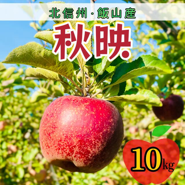 【ふるさと納税】＜先行予約＞ 秋映（あきばえ）【約10kg(24〜36玉)】＜出荷開始：2025/10月上旬～中旬頃＞(7-A23-3)【 林檎 りんご リンゴ 果物 くだもの フルーツ 秋映え あきばえ 長野 長野県 飯山市 ギフト プレゼント 記念日 誕生日 父の日 母の日 】