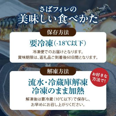 ふるさと納税 湯浅町 【ご家庭用　訳あり】　塩さばフィレ　1kg |  | 03
