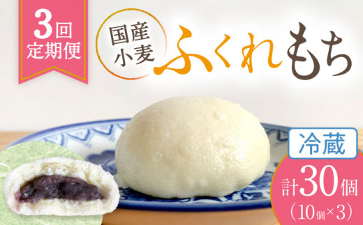 【3回定期便】 国産 小麦の ふくれもち （ 冷蔵 ）  計30個   ベーグル 冷蔵 国産小麦 多治見市/ひとてま屋   [TDS002]