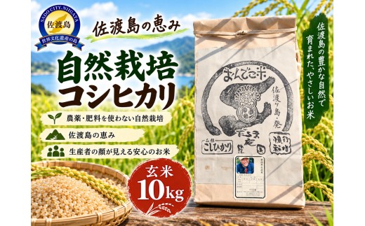 【令和8年産】佐渡産  自然栽培コシヒカリ 玄米10kg 自然栽培 栽培期間中 肥料・農薬不使用 だるま庵農園 | 新潟県産コシヒカリ 新潟産こしひかり 佐渡産コシヒカリ こしひかり コシヒカリ お米 米 玄米 げんまい おこめ コメ 10キロ 農家直送 にいがた さど 新潟県 佐渡市 自然栽培コシヒカリ 新潟県産コシヒカリ 新潟産こしひかり 佐渡産コシヒカリ こしひかり コシヒカリ