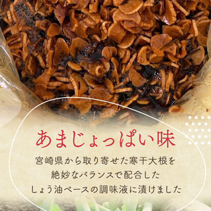 あまじょっぱ(漬物1個）【074-0003】