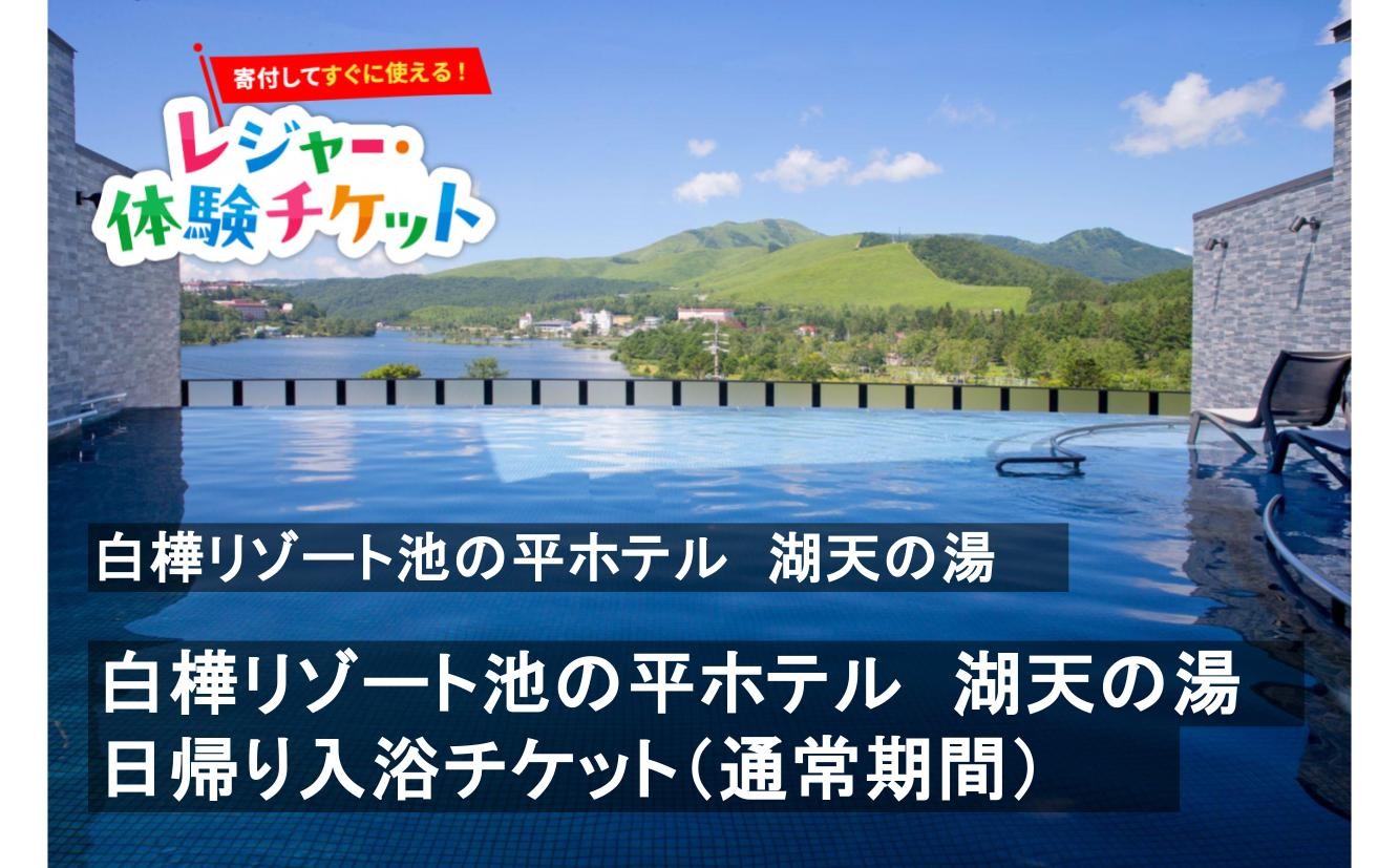 
                  【即時利用可/電子チケット】白樺リゾート池の平ホテル　湖天の湯　日帰り入浴チケット《通常期間》【会員限定のお礼の品】
                
