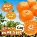 【ふるさと納税】【先行予約】【12月上旬から順次発送】 温州みかん 南柑20号 約4kg 【まごころ手選り手詰め】大洲市/カームシトラス[AGBW002] 10000円 10000 一万 一万円 温州みかん ミカン みかん 果物 くだもの フルーツ