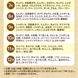 むなかた旬のお任せセット（野菜・フルーツ・卵） 9～11品【JAほたるの里】_HA1712