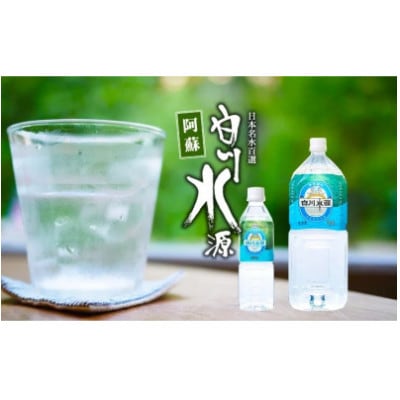 【毎月定期便】白川水源ミネラルウォーター2L 6本入り/2ケース全12回【4066685】