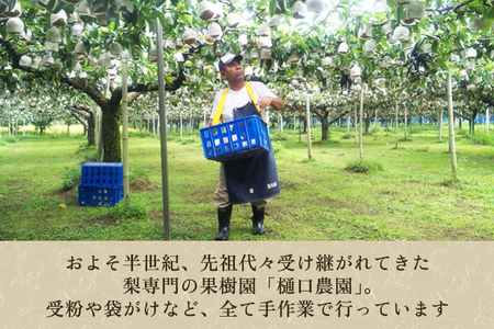 和梨 あきづき 5kg（8～14玉）果物 なし 梨 フルーツ 新鮮 ジューシー 産地 加茂市 樋口農園
