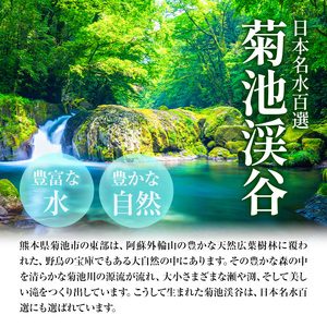 【12ヶ月定期便】 九州産 手羽先（500g×4袋）・手羽元（500g×4袋）セット 計4kg 鶏肉 肉 鶏 手羽 唐揚げ 詰め合わせ セット 冷凍 九州 国産 熊本県 菊池市 送料無料《お申込み翌月
