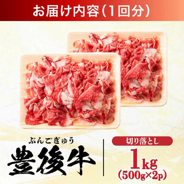 【全6回定期便】【小分けで便利！】おおいた豊後牛 牛肉 切り落とし 1kg (500g×2)  牛肉切り落とし 豊後牛 [AREI045]