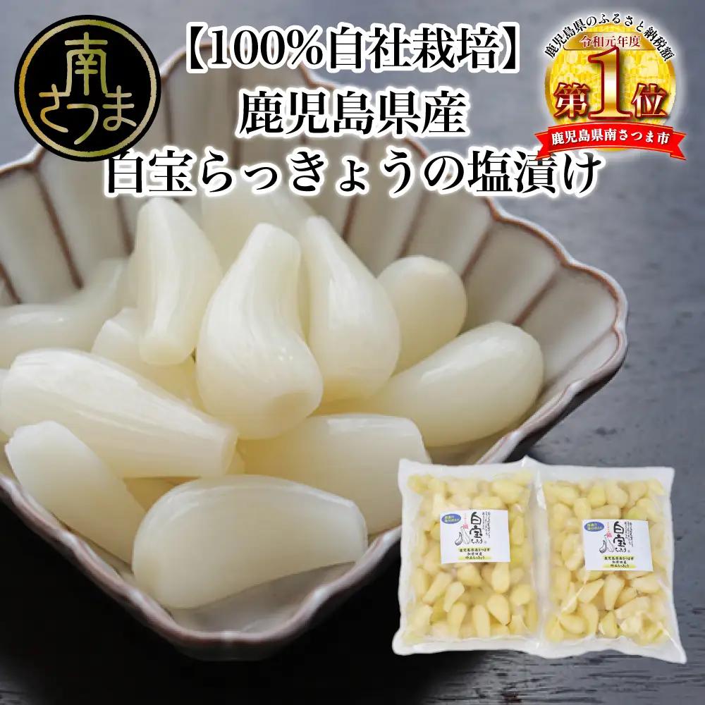 【鹿児島県産】白宝らっきょうの塩漬け 900g×2P らっきょう 漬物