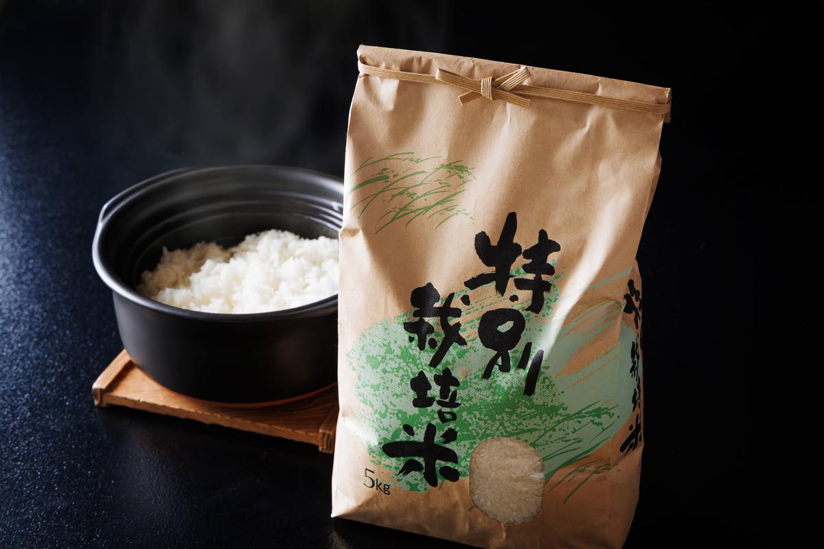 定期便 6回　料理旅館きぐすりや　令和8年産 　特別栽培米キヌヒカリ 10kg 新米26