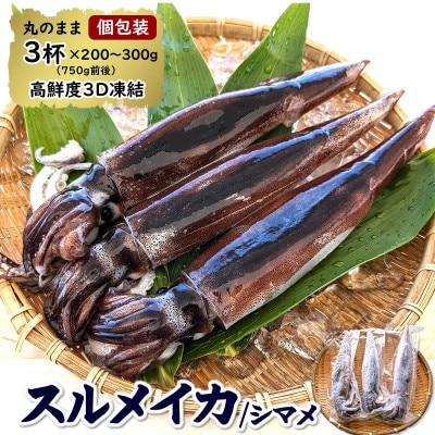 【便利な個包装】朝とれスルメイカ　3杯セット(3杯×200〜300g)750g前後　高鮮度3D凍結　【配送不可地域：離島】【1515774】