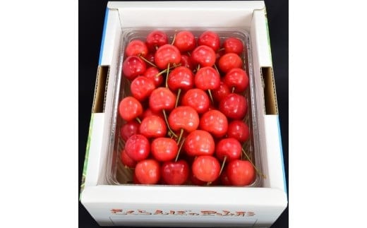 
            さくらんぼ（佐藤錦か紅秀峰）５００ｇ　秀品　0056-2602
          