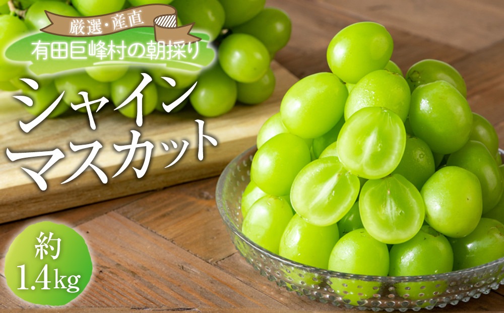 シャインマスカット 約1.4kg  (2房～4房) 有田巨峰村 【朝採 新鮮】 ■2025年発送■※8月中旬頃から9月下旬頃まで順次発送予定  	BZ024