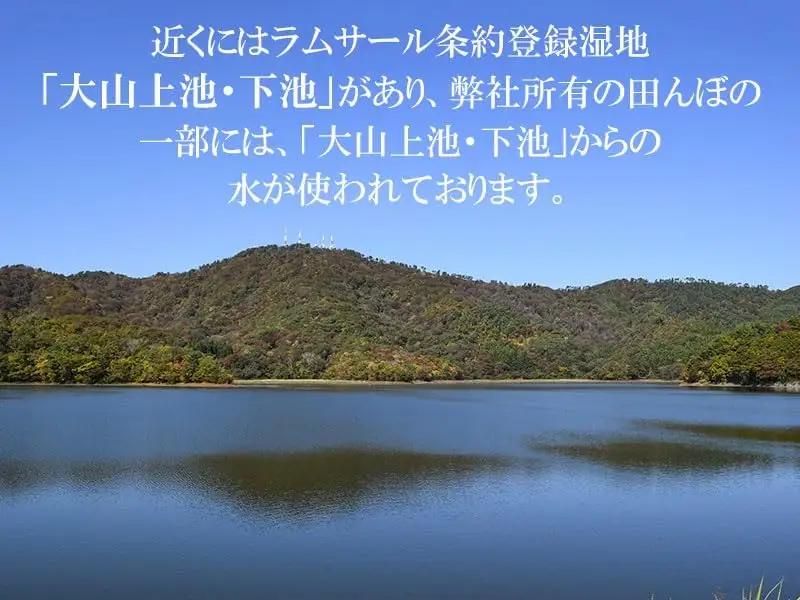 【令和7年産】 馬町さくらファームのつや姫 無洗米 5kg（5kg×1袋）　特別栽培米　山形県鶴岡市　K-737　| 米 つやひめ お米 5キロ コメ こめ ご飯 ごはん ブランド米 米どころ 庄内米