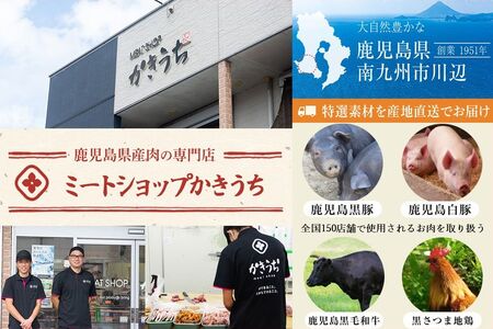 かごしま黒豚しゃぶしゃぶセット(鍋つゆ付き)【配送不可地域：離島】【1185965】