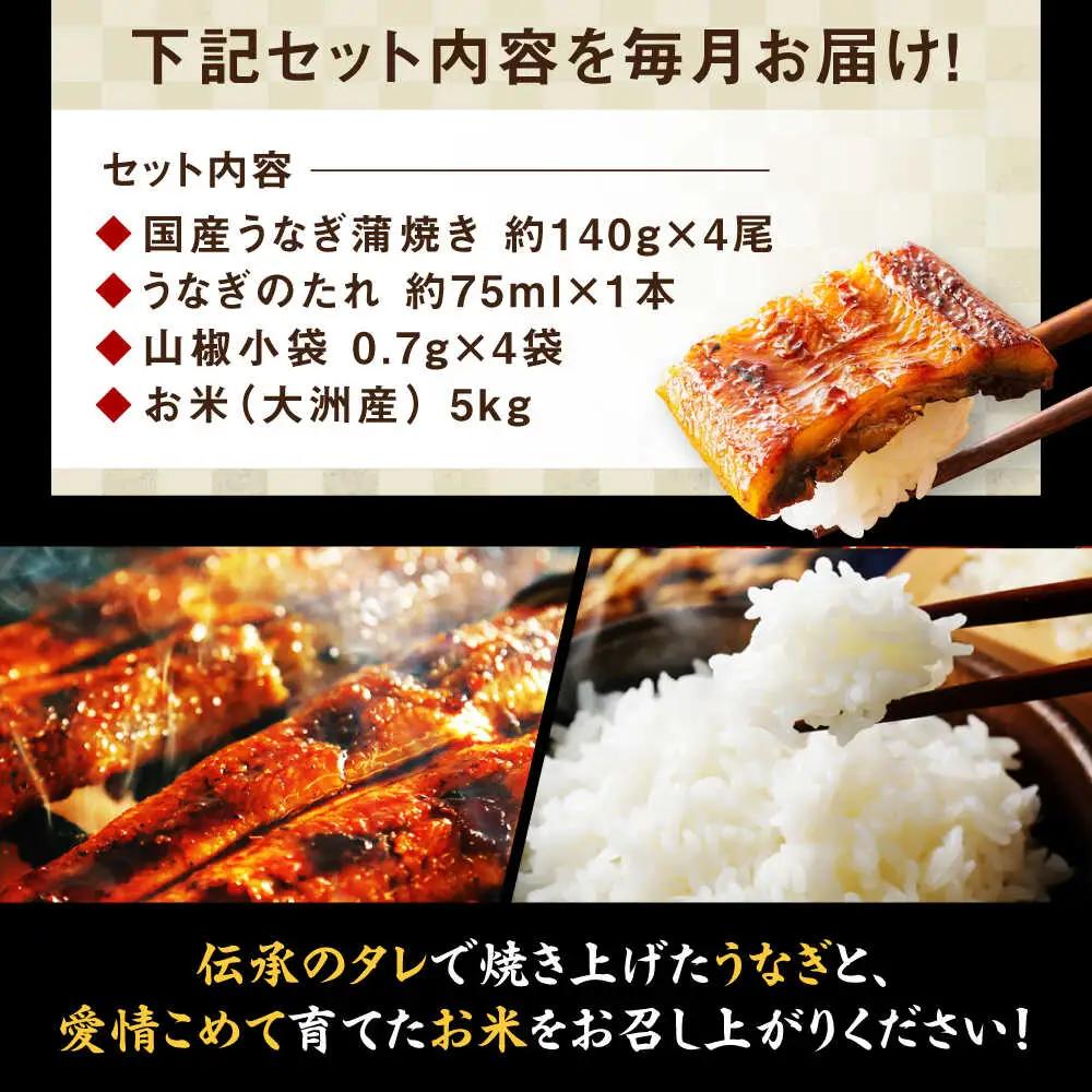鰻 定期便【全3回】うなぎ蒲焼き（4尾）＋お米（5kg）[AGAH009]