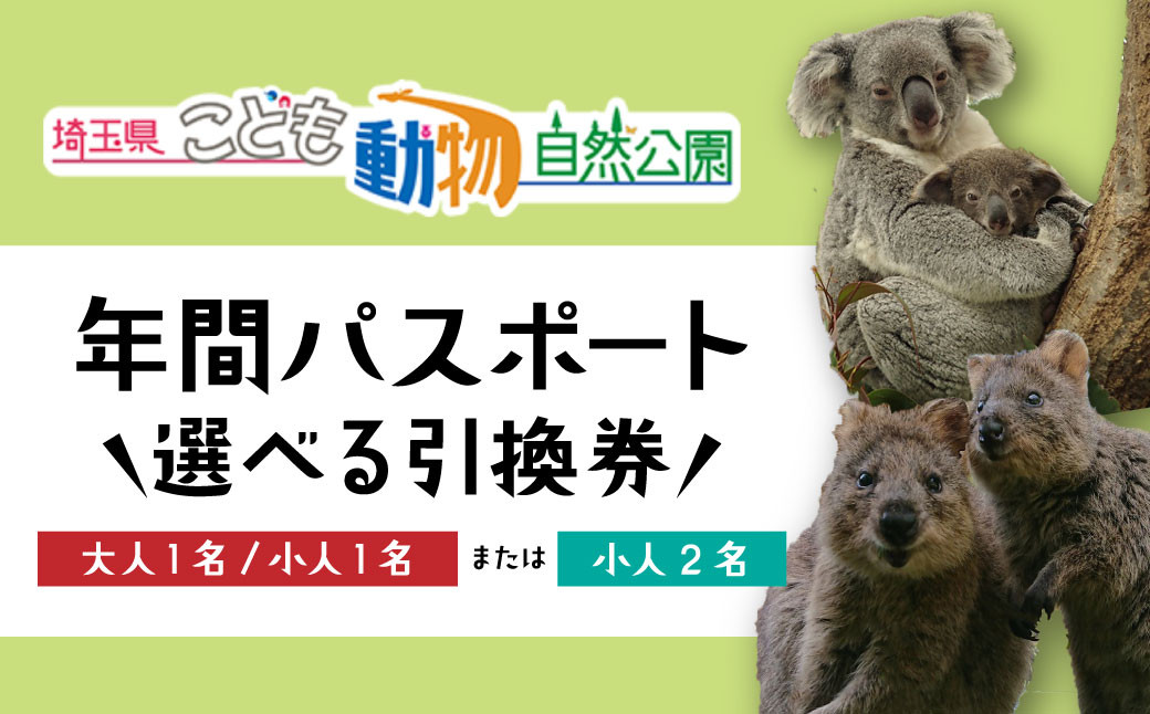 
            埼玉県こども動物自然公園 年間パスポート 選べる引換券 大人1名＋小人1名 / 小人2名 | 動物園 年パス 子ども こども 子供 家族 家族 ファミリー コアラ クオッカ カンガルー ペンギン 自然体験 幼児 小学生 家族で楽しむ 子供向け 年間利用可能 季節 イベント アウトドア アクティビティ 学びの場 入場券 遊び場 日帰り 埼玉県 東松山市
          