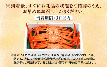 かに 紅ずわいがに≪浜茹で≫ × 3杯 この道50年の職人が選びました！【6月発送分】【カニ 蟹 姿 冷蔵 福井県】【紅ズワイガニ 紅ずわい蟹 ボイル】希望日指定可 備考欄に希望日をご記入ください [