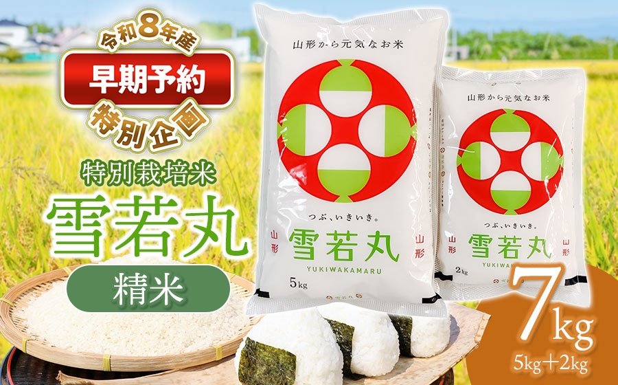 
                  【早期予約特別企画】【令和8年産先行予約】 特別栽培米 雪若丸 精米 7kg (5kg+2kg) 山形県鶴岡産　鶴岡協同ファーム
                