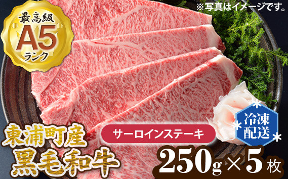
No.024 東浦町産最高級A5ランク黒毛和牛　サーロインステーキ（約250g×5枚） ／ 牛肉 国産 霜降り 愛知県
