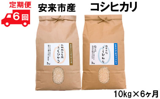 安来市産コシヒカリ10kg×6ヵ月 令和6年産 【新米 5kg 2袋　60kg 精米 お米 島根 おいしい 食べ比べ】