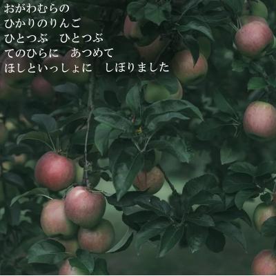 ふるさと納税 小川村 リンゴのシードル2本セット*269 |  | 01