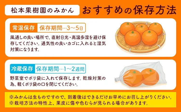 みかん 豊福 5kg 松本果樹園 《10月中旬-10月下旬出荷予定》 熊本県 苓北町 スイーツ デザート 果物 ミカン 蜜柑