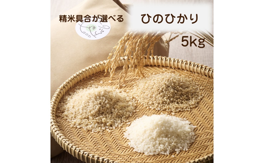 
                  令和8年産 新米予約受付！自然栽培米ひのひかり5kg〈栽培期間中農薬・肥料不使用【ほのわ】_HA1609
                