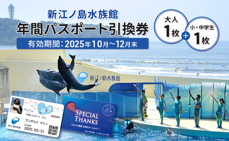 チケット 神奈川 【新江ノ島水族館】年間パスポート引換券(大人1枚+小・中学生1枚) 有効期間2025年10月～12月末まで 水族館 パスポート 入場券 江ノ島 藤沢市 神奈川県 プレゼント ギフト