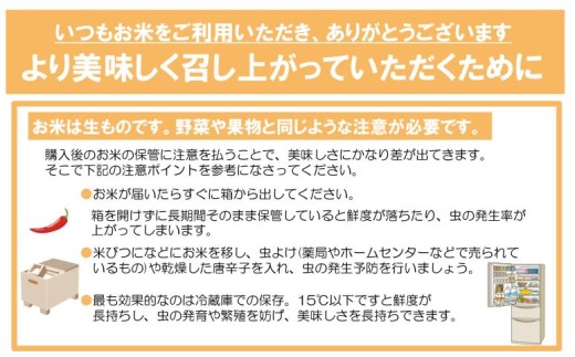 令和8年産米 花巻 ひとめぼれ 20kg（ 5kg × 4袋 ） 【2453】