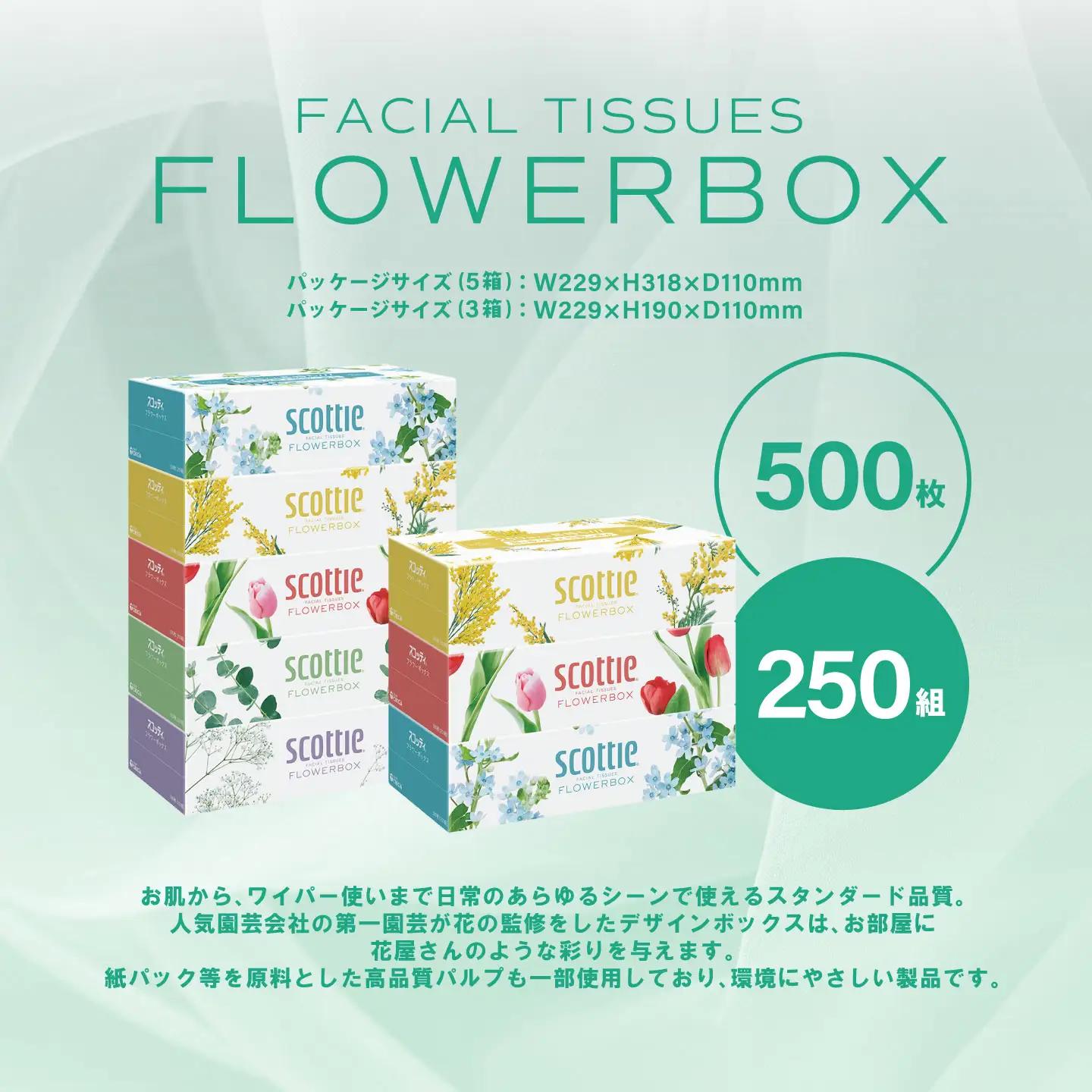 スコッティ ティッシュ 250組 30箱 ティシュー