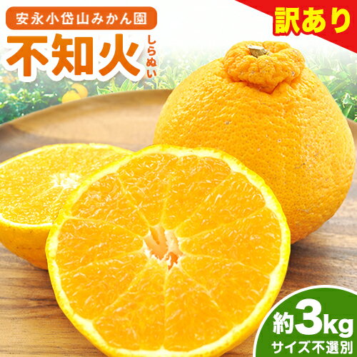 【ふるさと納税】 不知火 訳あり 越冬でこちゃん (不知火) サイズ不選別 約3kg しらぬい みかん ミカン 蜜柑 《2026年2月中旬-3月下旬頃出荷》熊本県 荒尾市 デコポン と同品種 柑橘 フルーツ 果物 安永小岱山みかん園