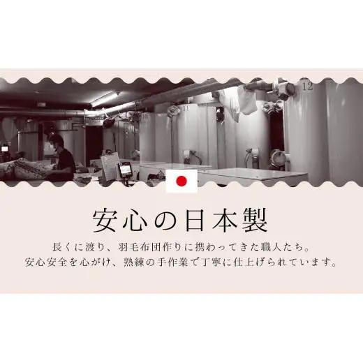 【43×63cm　Mサイズ】まくらカバー＆羽根まくらセット　カンポ【N-7】