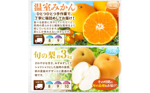 【 定期便 3回 】【フルーツ定期便】高評価 果物 フルーツ 選べる発送回数 （いちご みかん 不知火 スイカ ぶどう メロン シャインマスカット 梨 柿 アイス クレープ） 2回 ~ 12回 1年 フルーツ定期 フルーツ定期便 果物定期便 果物定期 定期便 フルーツ 果物 お試し 旬 取れたて  熊本県 玉名市