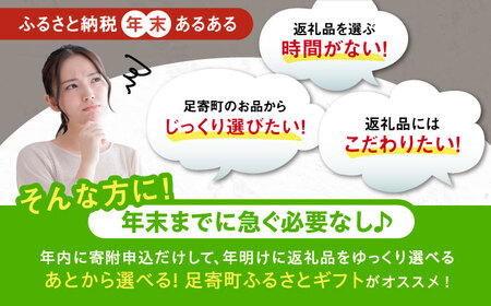 【あとから選べる】足寄町ふるさとギフト 10万円分 足寄町 [BEBL003]