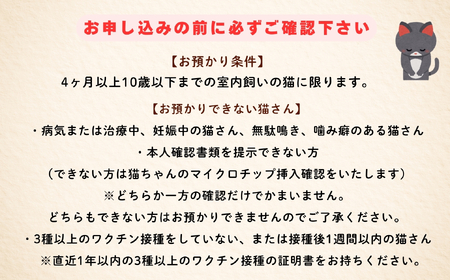 【長野県飯山市】にゃんほてる（猫専用ペットホテル） リベティベル 利用券3,000円分（T-17） 長野県 飯山市 おすすめ ランキング 高評価 大人気 ギフト