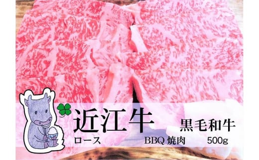 
                  【冷凍・日時指定可能】実生庵の黒毛和牛近江牛【上霜降り】BBQ焼肉用500gMS17
                