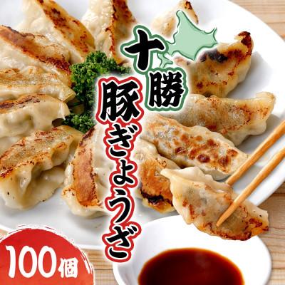 ふるさと納税 大樹町 十勝 豚ぎょうざ 20個入り 5パック 十勝豚使用 北海道 大樹町