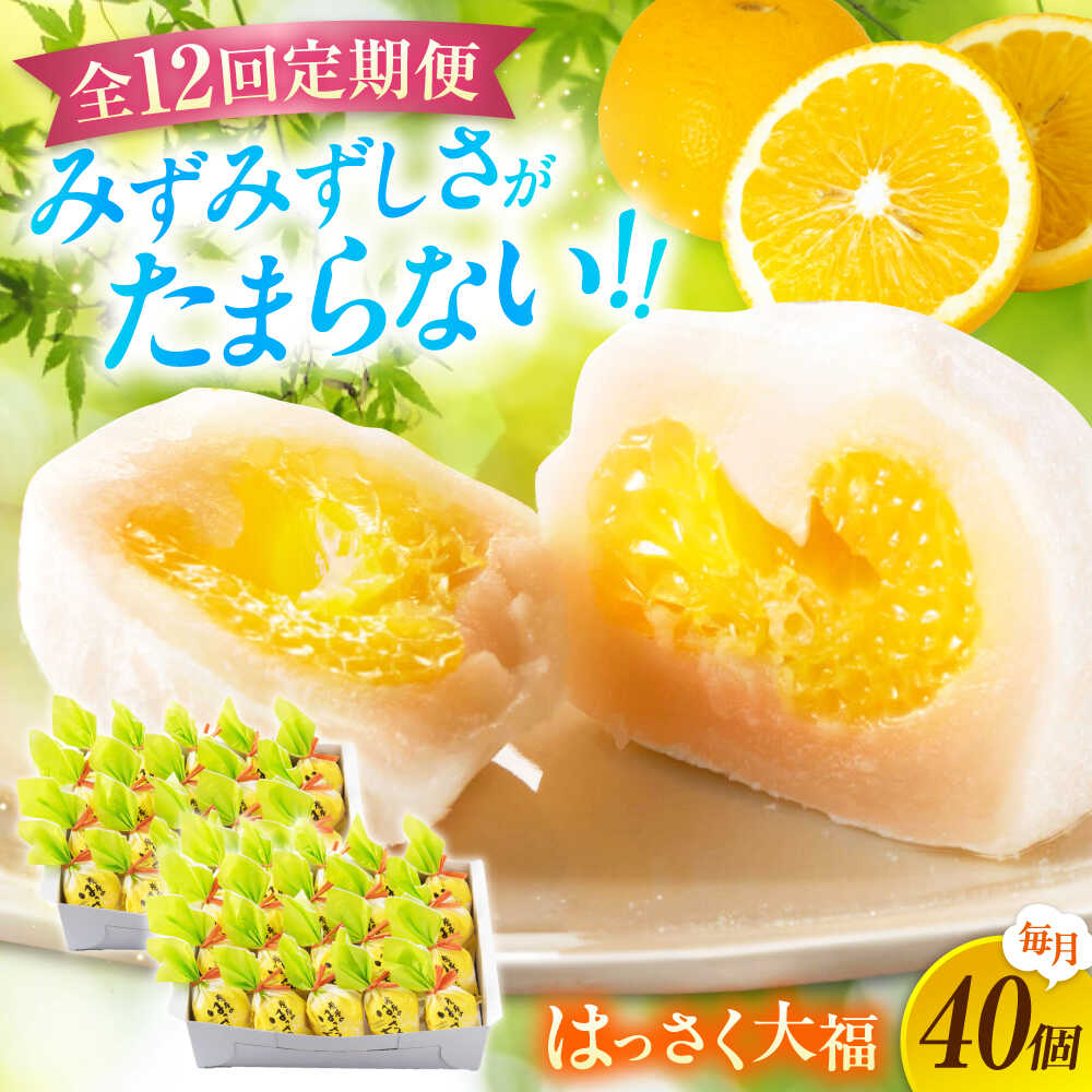 【ふるさと納税】【12回定期便】お菓子 はっさく大福20個入×2　 お菓子 大福 八朔 柑橘 みかん オレンジ 餅 ギフト お取り寄せ スイーツ フルーツ大福 ご当地 菓子 おかし デザート 食品 人気 おすすめ 広島県福山市/株式会社虎屋本舗[BADH036]