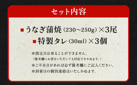 国産うなぎ蒲焼 3尾（690〜750g）と特製タレ3個セット【2026年1月発送】｜ 鰻 ウナギ 蒲焼 うなぎ蒲焼 タレ付 大阪府 阪南市
