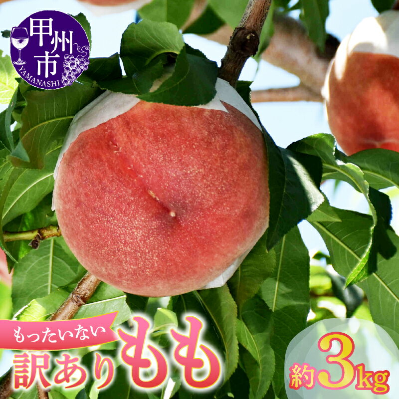 【ふるさと納税】 桃 訳あり 大容量 果物 約3kg 8玉～12玉 フードロス 2025年発送 旬 採れたて フルーツ 甘い コンポート デザート 新鮮 完熟 山梨県 甲州市 家庭用 わけあり 数量限定 期間限定 盛り合わせ 6月下旬より発送 （MG） 【A08-470】
