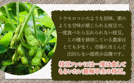 【令和7年産先行予約】 山形セレクション認定！15代目「治五左衛門」の新枝豆「つるおか・ぼんちゃ豆」1.5kg(500g×3袋)　7月中～下旬