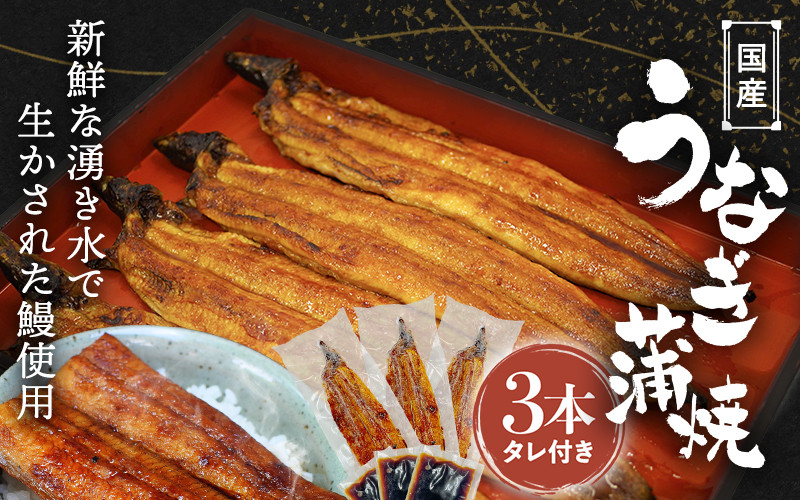 
            国産うなぎ蒲焼（3本）タレ付き  / うなぎ 鰻 うなぎ 蒲焼き うなぎ蒲焼 和歌山 田辺市 国産 国産うなぎ 国産鰻 鰻丼 うな丼 土用の丑の日 【ots017】
          