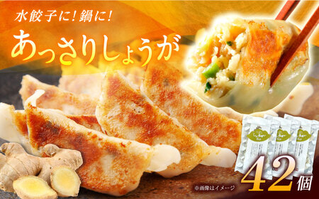 【3パック】餃子屋ヒロの しょうが餃子 ぎょうざ[BDAS006-2]