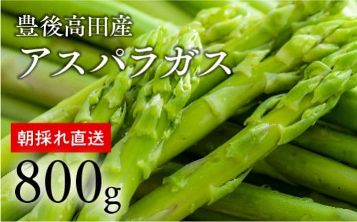 グリーンアスパラガス（800g）【R8.2月下旬~4月末配送】